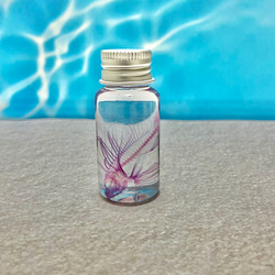 084db44ddf5f481ee9905da572df75