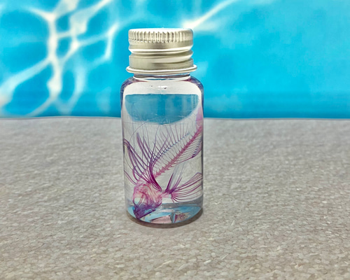 084db44ddf5f481ee9905da572df75