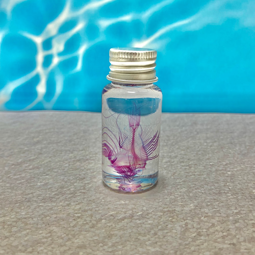 レア】透明標本(ミノカサゴ 全長約50mm) (良品) その他インテリア雑貨