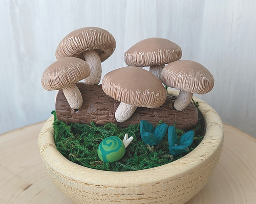 8f48d3e51b07ba77594d7b32ebe934