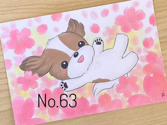 桜とワンコ　イラストポストカード　5枚セット 3枚目の画像