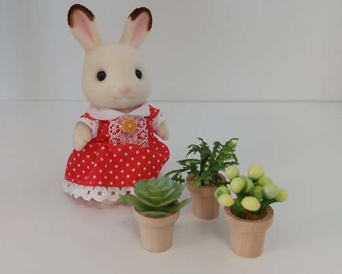 ミニチュア 観葉植物 ② その他置物 kocomo 通販 15400841