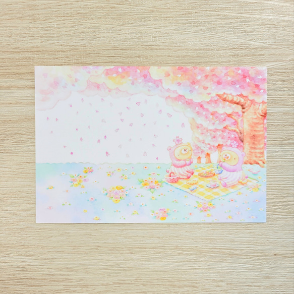桜のお花見くまポストカード ２枚セット 1枚目の画像