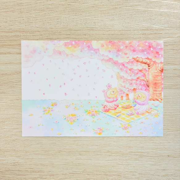桜のお花見くまポストカード 2枚セット ポストカード ぷちぽんむ(近藤