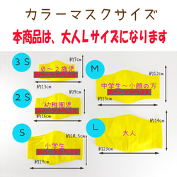 【SALE】【送料無料】色を選べる6枚600円マスク:15色:抗菌:大人Lサイズ：日本製:肌に優しい蒸れないマスク 5枚目の画像