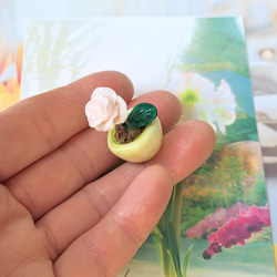 小さな鉢植え　薔薇　ミニチュア 4枚目の画像
