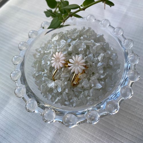 匠の技光る 宝石珊瑚彫刻イヤリング 花 マーガレット ぴたっと