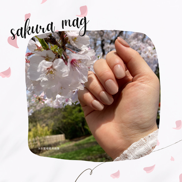 #73｜春限定 『 Sakura 』マグネット ∴ こだわりワンカラー 桜 ピンク シンプル【ネイルチ 10枚目の画像