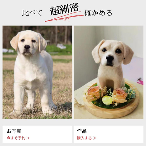 実績500体以上!ハンドメイド 【世界に一つだけのうちの子 実績500体以上!ハンドメイド 【世界に一つだけのうちの子