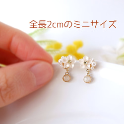  第8張的照片