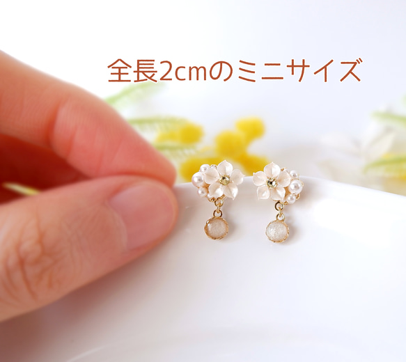  第8張的照片