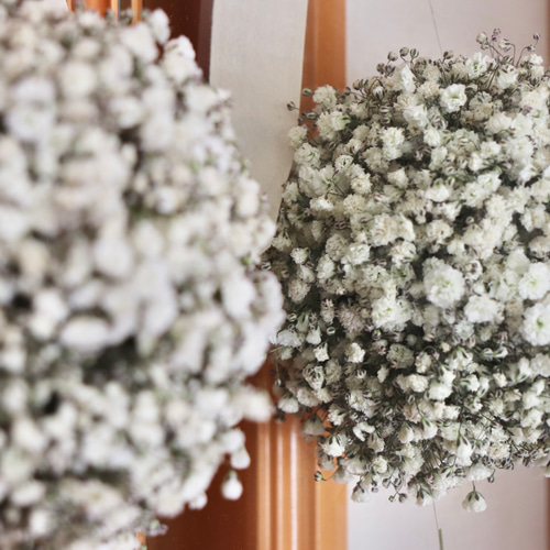 ✳︎フライングボール✳︎かすみ草 リース HELLO FLOWER 通販