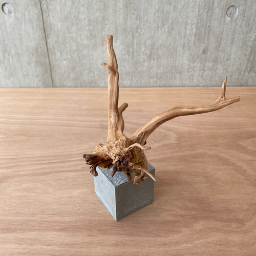 コンクリート盆栽 流木オブジェ】ディスプレイ 什器 アクセサリー