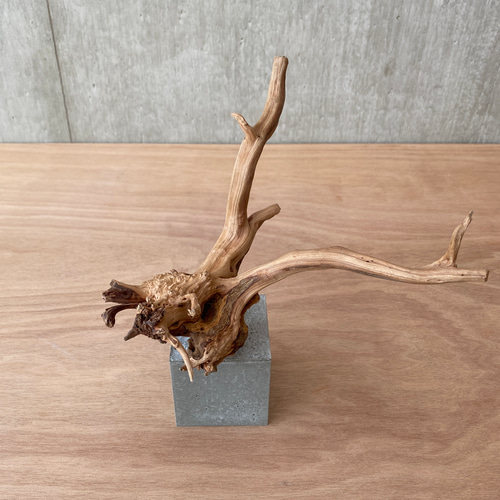 コンクリート盆栽 流木 オブジェ ディスプレイ 高級感 スタイリッシュ アート コンクリート盆栽 】 流木 木 オブジェ ディスプレイ 高級感