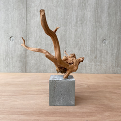 Sea Wood Collection - 波音の調べ【無垢 一枚板 耳付き】 立体