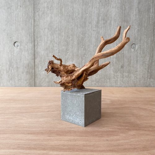 コンクリート盆栽 流木オブジェ】ディスプレイ 什器 アクセサリー