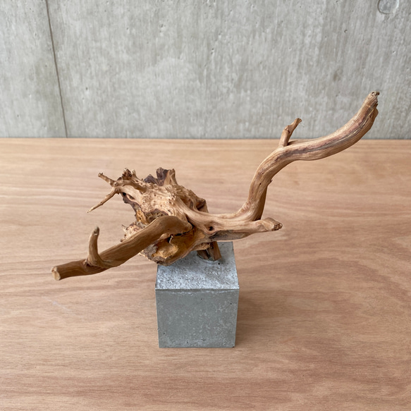 【コンクリート盆栽 流木オブジェ】ディスプレイ 什器 アクセサリー ネックレス インテリア アート 芸術 水槽 爬虫類 11枚目の画像