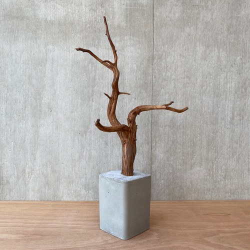 ➀【コンクリート盆栽 流木オブジェ】ディスプレイ 什器 アクセサリー  