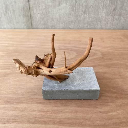 コンクリート盆栽 流木オブジェ】ディスプレイ 什器 アクセサリー