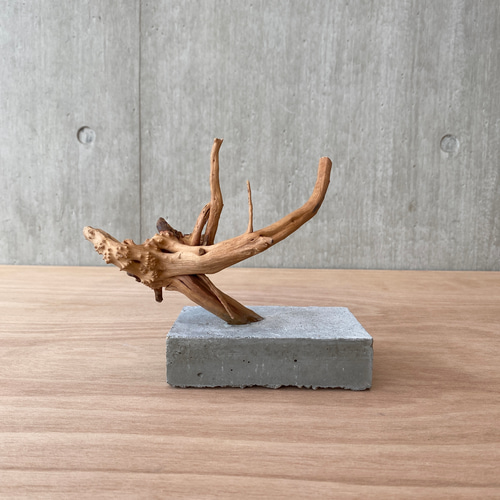 コンクリート盆栽 流木オブジェ】ディスプレイ 什器 アクセサリー