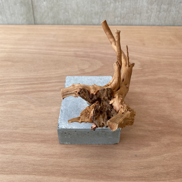 【コンクリート盆栽 流木オブジェ】ディスプレイ 什器 アクセサリー ネックレス インテリア アート アクアリウム 水槽 15枚目の画像