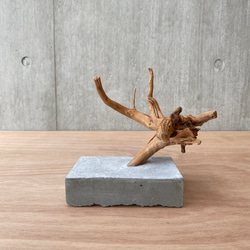 【コンクリート盆栽 流木オブジェ】ディスプレイ 什器 アクセサリー ネックレス インテリア アート アクアリウム 水槽 1枚目の画像