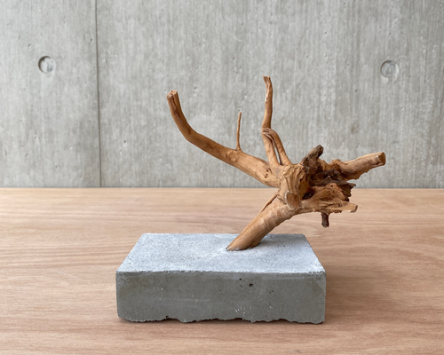 9f09944aba5e201f717e905a4fb785