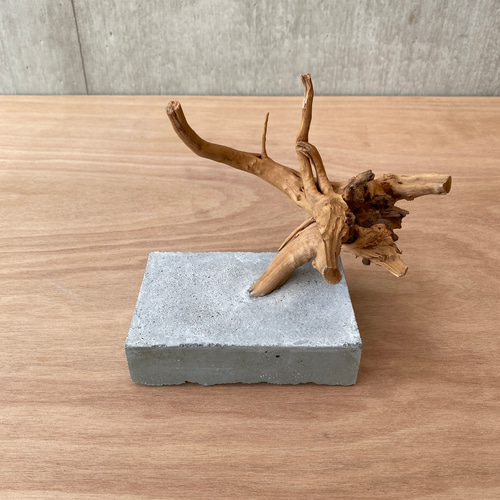 コンクリート盆栽 流木オブジェ】ディスプレイ 什器 アクセサリー