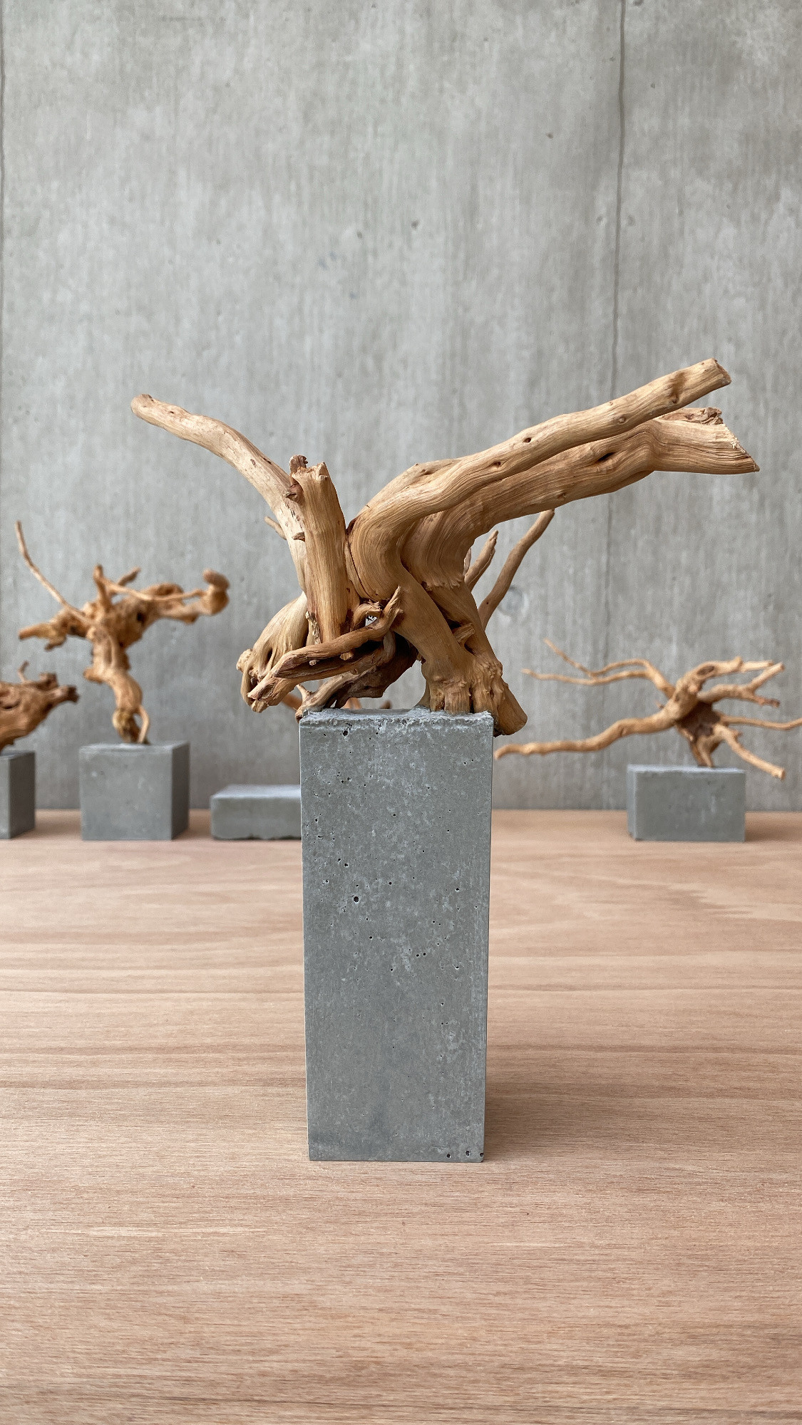 コンクリート盆栽 流木オブジェ】 アート アクセサリー インテリア