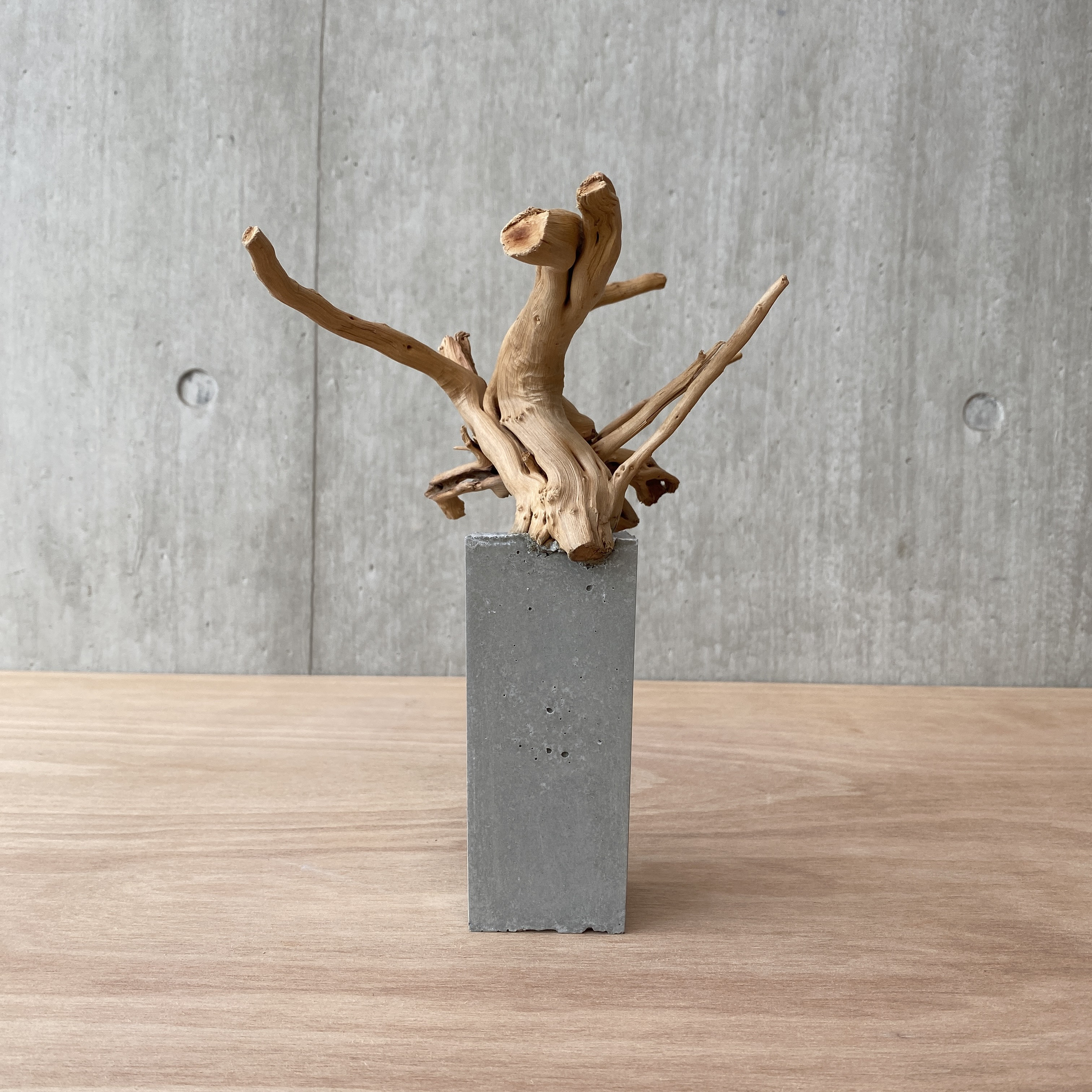 コンクリート盆栽 流木オブジェ】ディスプレイ アート インテリア 鍵