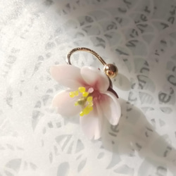 2022 桜の花小粒ピアス（両耳） 6枚目の画像
