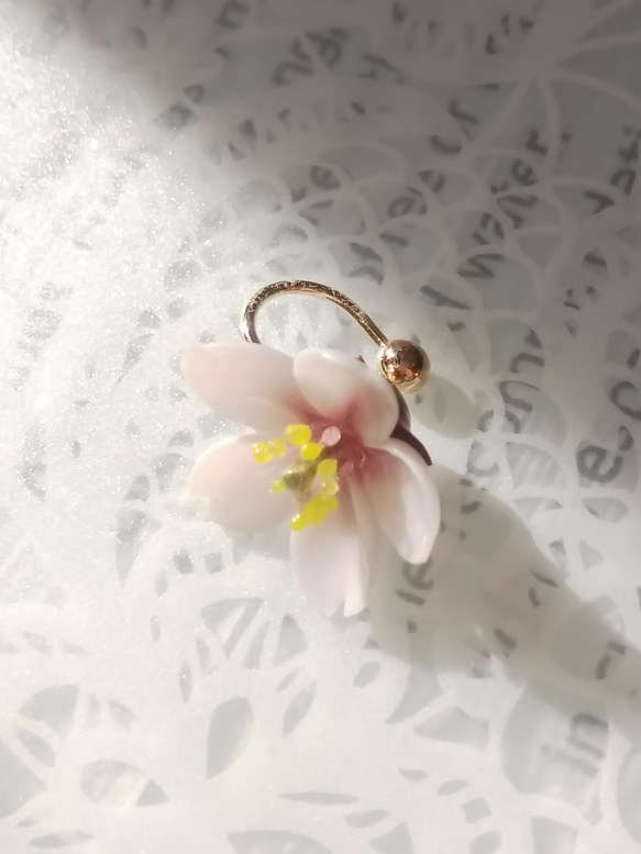 2022 桜の花小粒ピアス（両耳） 6枚目の画像