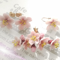 2022 桜の花小粒ピアス（両耳） 11枚目の画像