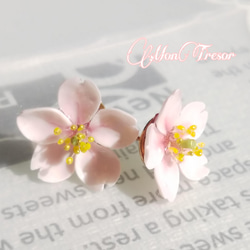 2022 桜の花小粒ピアス（両耳） 9枚目の画像