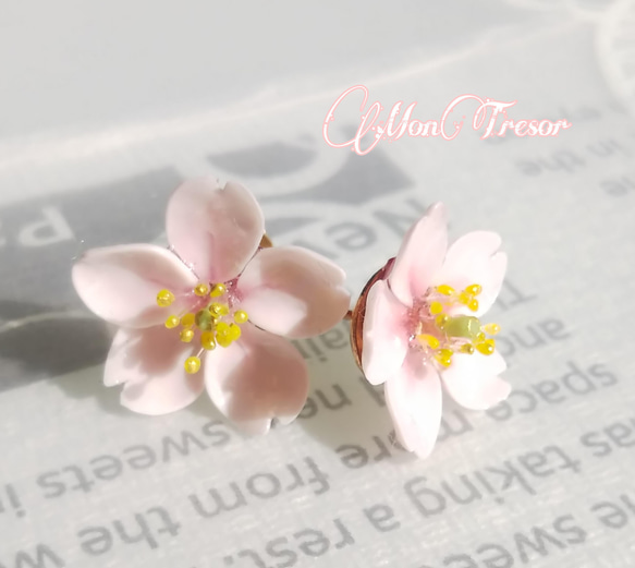 2022 桜の花小粒ピアス（両耳） 9枚目の画像