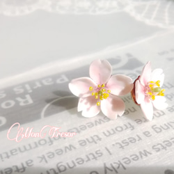 2022 桜の花小粒ピアス（両耳） 5枚目の画像