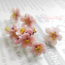 2022 桜の花小粒ピアス（両耳） 10枚目の画像