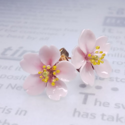2022 桜の花小粒ピアス（両耳） 1枚目の画像