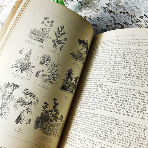 *゜+ 1906年　若草物語　アンティークブック　ヴィンテージ本　洋書　古書 ゜+ 1906年 若草物語 アンティークブック ヴィンテージ本 洋書