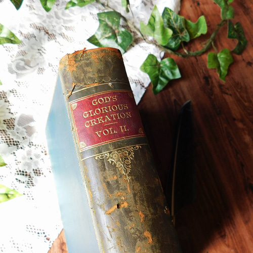 ゜+ 19世紀 英国の百科事典 アンティークブック ヴィンテージ本 洋書