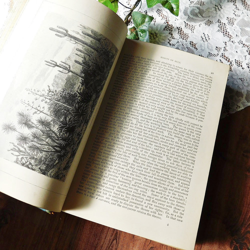 アンティーク洋書 海外古書