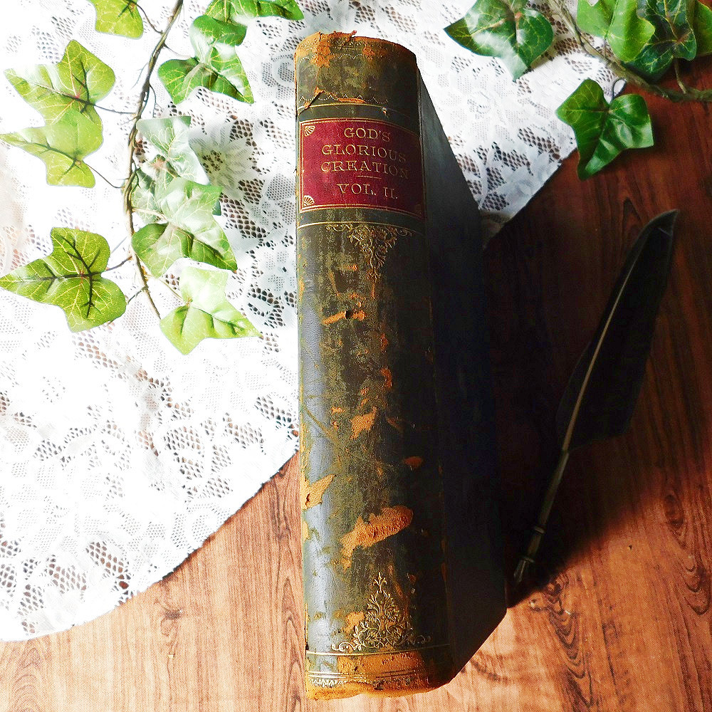 *゜+ 1912年　珍しい　タイタニック号の古書　　英国の古書　ヴィンテージ本 71joDyesvlL._UF350,350_QL50_.jpg