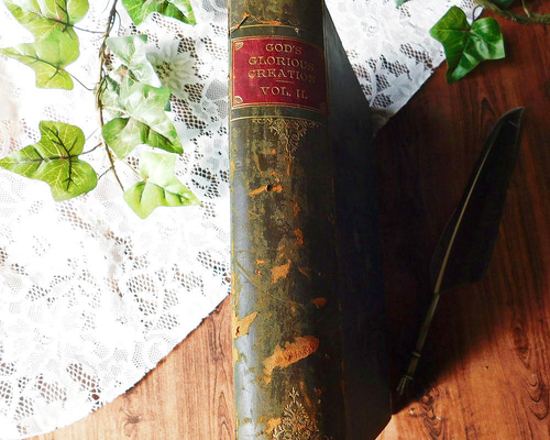 Bathbeauty 洋書 book フランスアンティーク イギリスアンティーク Bathbeauty 洋書 book フランスアンティーク イギリス