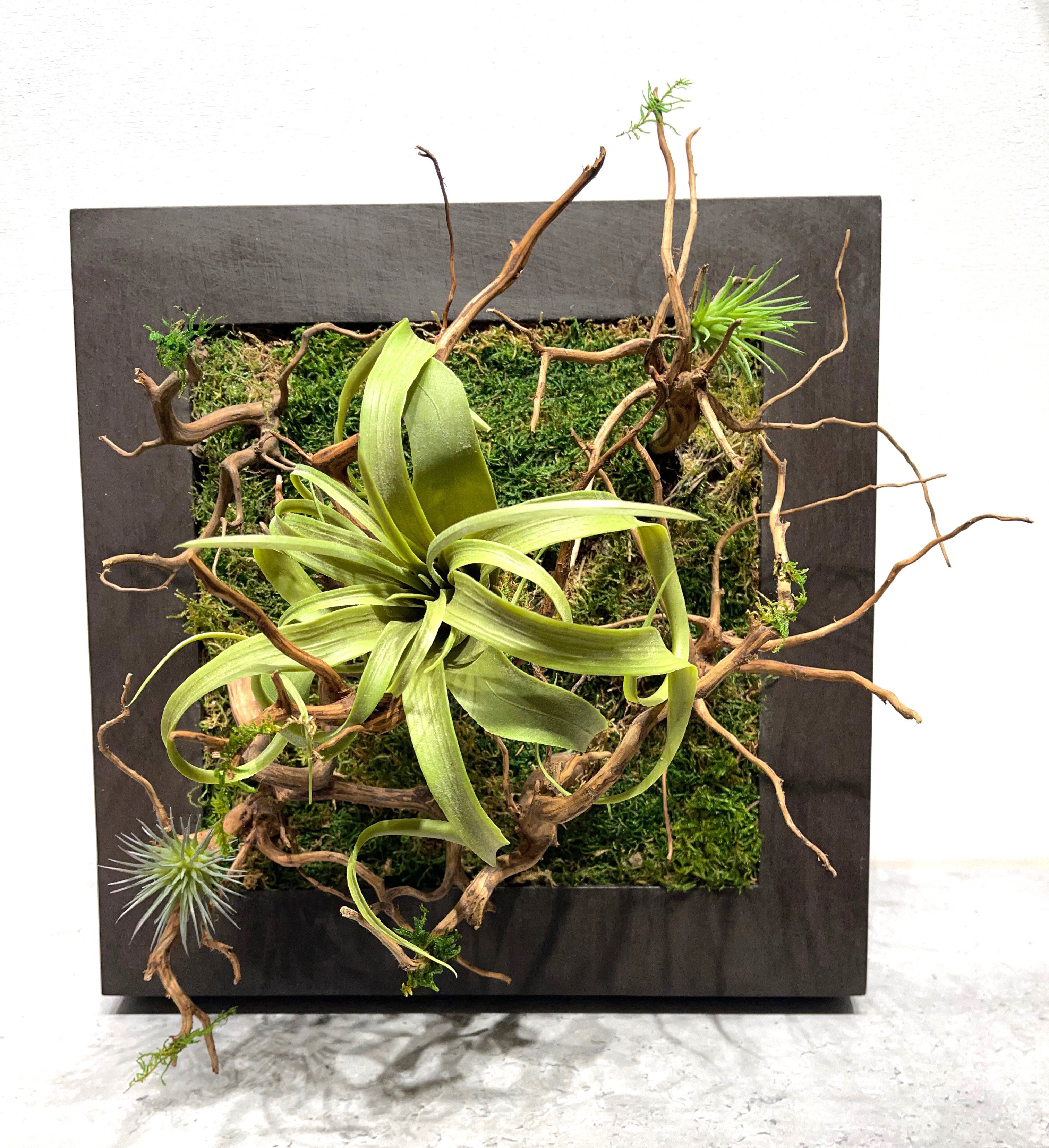 送料無料　流木 フェイクチランジア フレームアレンジ