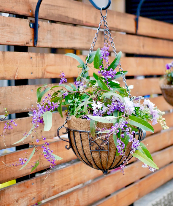 飾るだけで華やかに 春の寄せ植え ハンギング アイアン バスケット