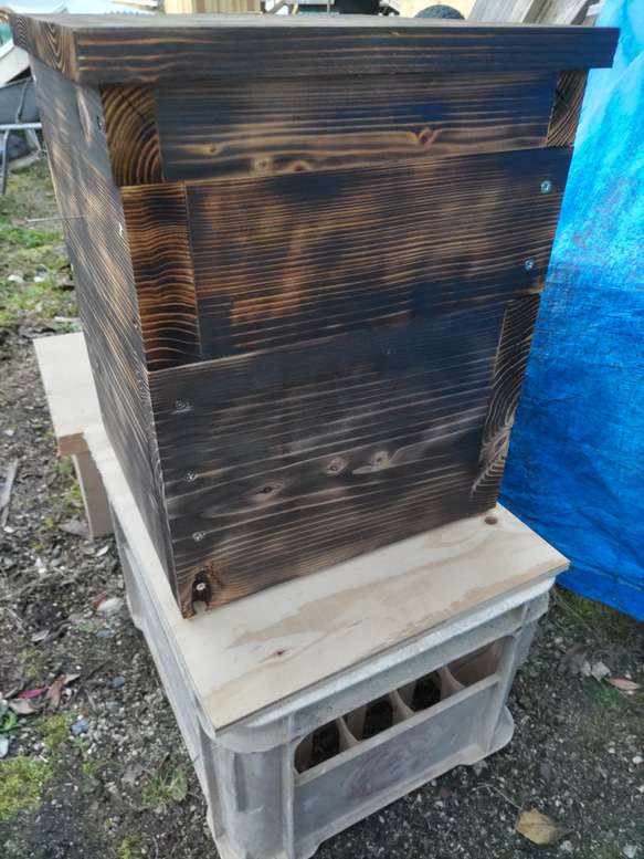 日本蜜蜂 重箱式巣箱 重箱杉板厚3.6㎝ 待ち受け用 ハウス・小屋