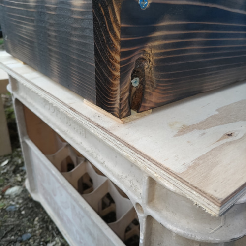 日本蜜蜂 重箱式巣箱 重箱杉板厚3.6㎝ 待ち受け用 ハウス・小屋