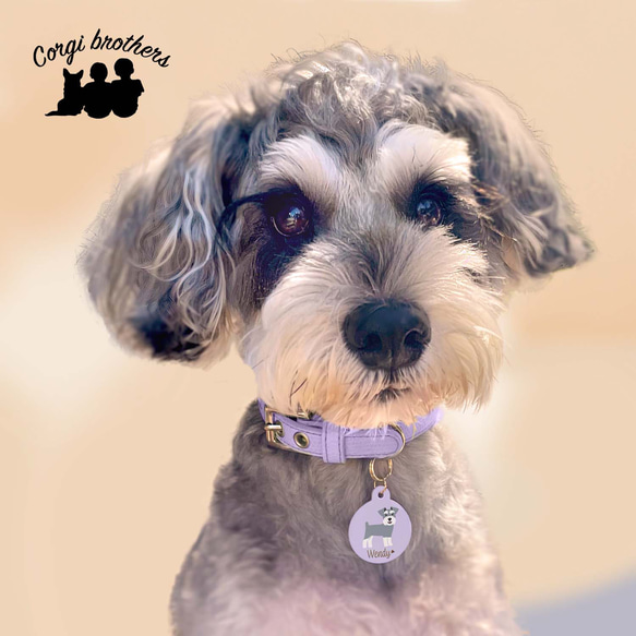 【 フレンチブルドッグ 毛色6色 】 パステル色 名入り 迷子札　ドッグタグ　ペット　うちの子　プレゼント　犬 10枚目の画像