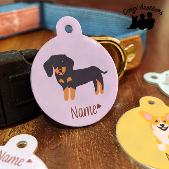 ペット✩犬✩マナーベルトオーダー用 サンプル(確認用)パピヨン