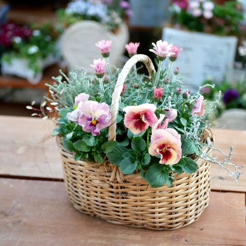 ナチュラルなバスケット 小さなスペースにも飾れる 寄せ植え